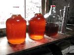 Maple syrup
