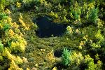 Arial Photo