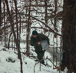 Ranger collecting sap