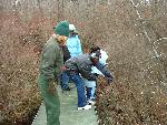 Ranger led walk