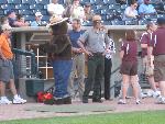 Fire Education at baseball game