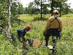 powersaws training