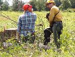 powersaws instruction