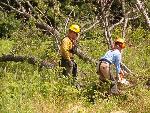 wildland powersaw training