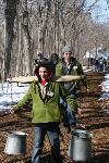 Volunteers Collecting Sap