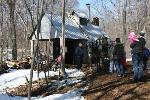 Sugar Shack
