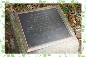 Stone Marker