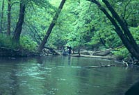 Nature and Science