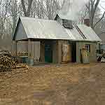 small block building with steam coming out of vent in roof in a wooded setting