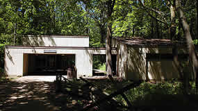 small modern building shadowed by large trees