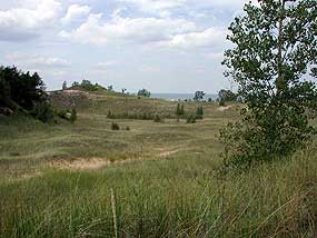 open area with hills (dunes) and grass