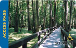 a wooden walkway with handrails going through tall trees