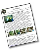 Volunteer Newsletter
