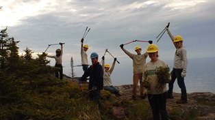 Minnesota Conservation Corps volunteers celebrate working on a park trail with tools raised above their heads.