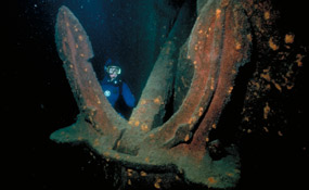 Emperor's Anchor Emperor's Anchor