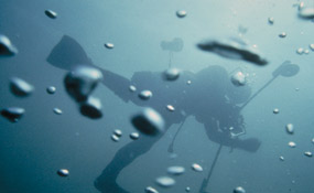 Diver ascends to the surface. Diver ascends to the surface.