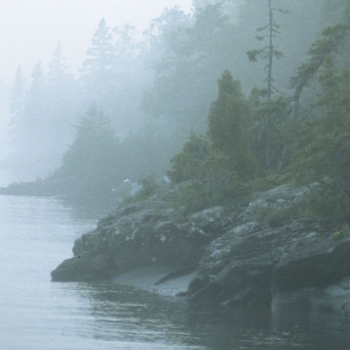 Shoreline Fog