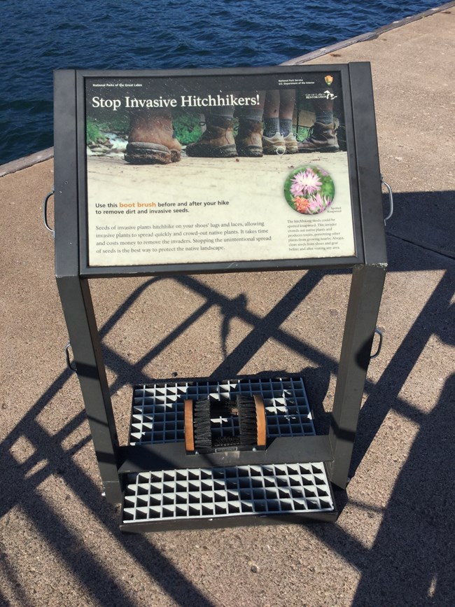 A large National Park Service sign reading "Stop Invasive Hitchhikers!"
