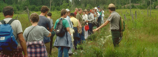 Interpretive program being conducted in a wetland area.