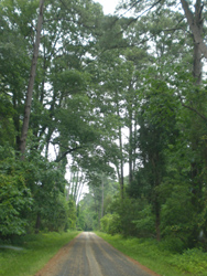 View as you continue to travel the Island Drive.