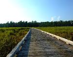 Long Bridge View on Loop Road
