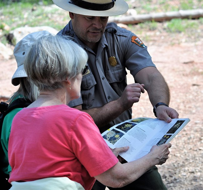 A park ranger on a trail shows two visitors a page inside a wildflower identification book.