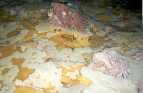 Calcite rafts in Jewel Cave