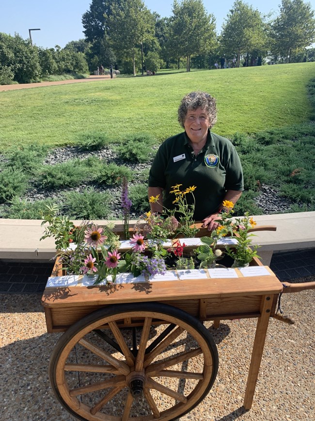 A woman in a green volunteer shirt stands behind a wooden cart full of flower samples