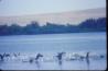 Sacagawea State Park