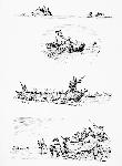 Different Kinds of Boats