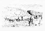 Wagon Train