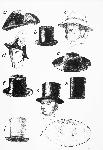 Types of Beaver Hats