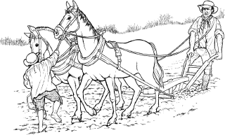 farmer
