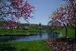 Gateway Arch grounds in spring