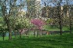 Gateway Arch grounds in spring