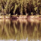 River Band with Trees