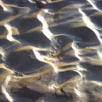 Mud Ripples