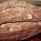 Rock