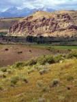Beaverhead