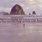 Haystacks Cannon Beach