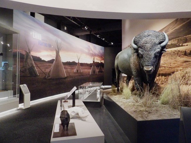 bison model in New Frontiers Gallery
