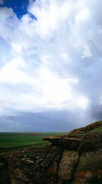 Medicine Creek (South Dakota)