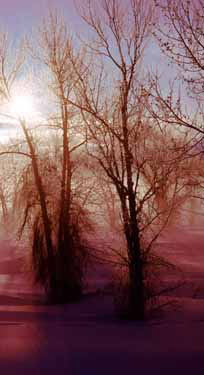 Missouri River bottoms, Knife River area (North Dakota)