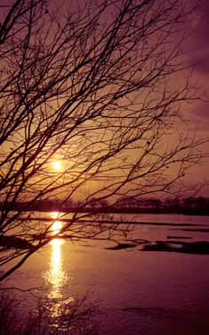 Confluence of the Milk and Missouri Rivers (Montana)