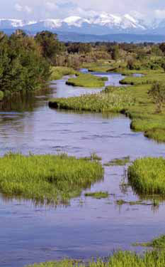 Tributary of the Madison River
(near Three Forks, Montana) 