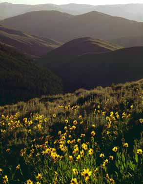 Lehmi Pass, west: Bitterroot Range 
(Montana/Idaho)&nbsp;