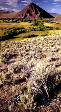 Shoshone Cove (Montana)  