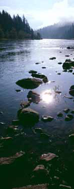 Clearwater River (near Orofino, Idaho)