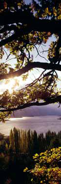 Columbia River (near White Salmon, Washington)
