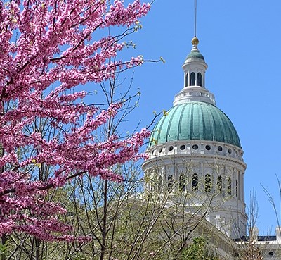 Redbud tree in bloom on the left and Old Courthouse dome on the right